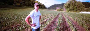 CTA-agriculture